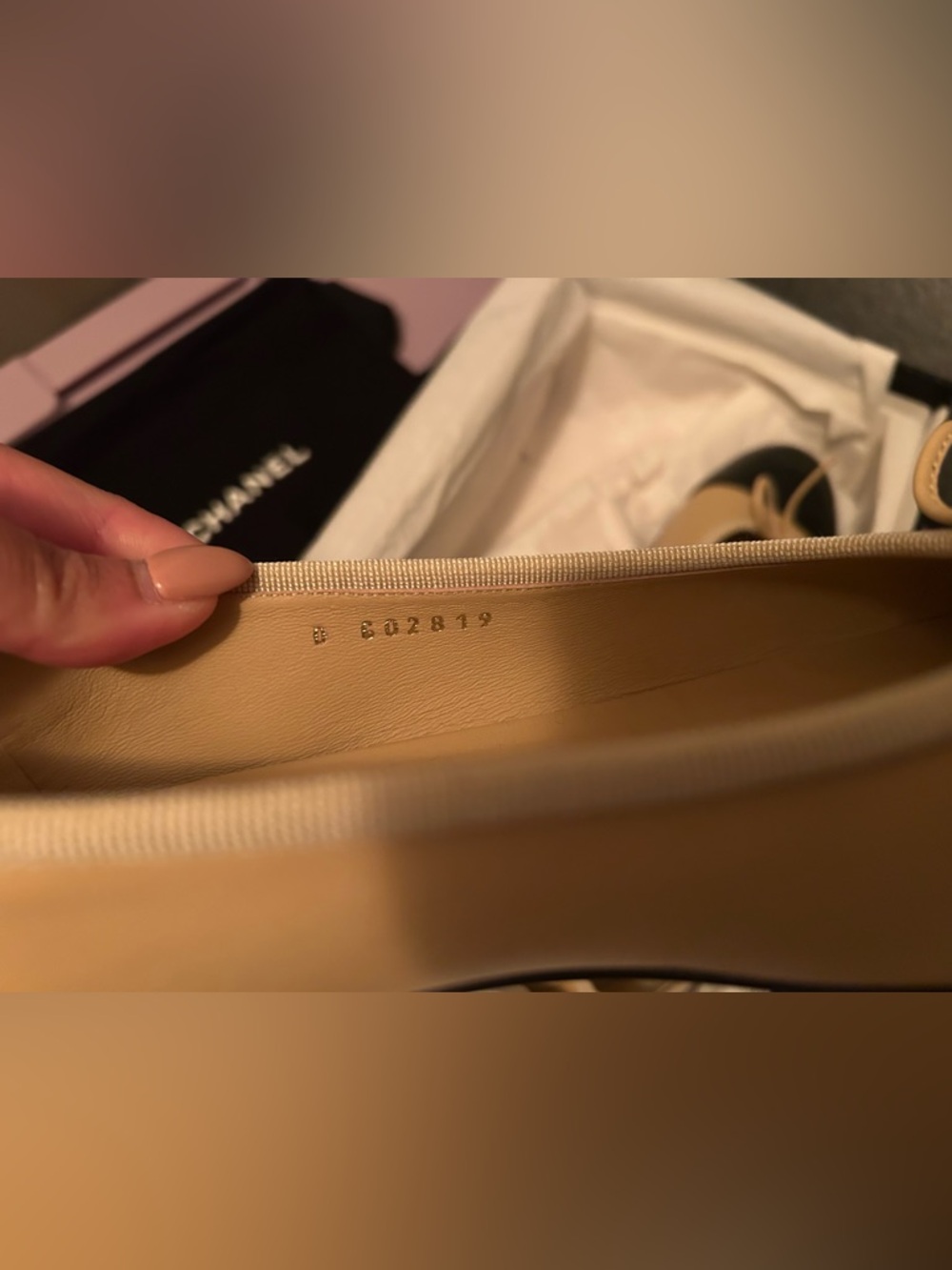 Chanel Lambskin Ballerinas in Beige & Black - Picture 7 of 8